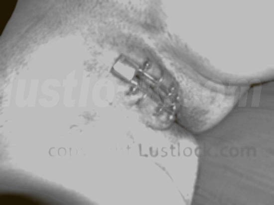 labiae lock for 8 piercing rings